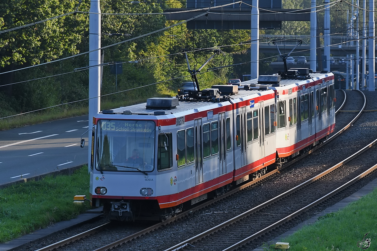 Ankunft eines Bogestra-Triebzuges (6010) an der Haltestelle Bochum Ruhr-Universität. (September 2021)