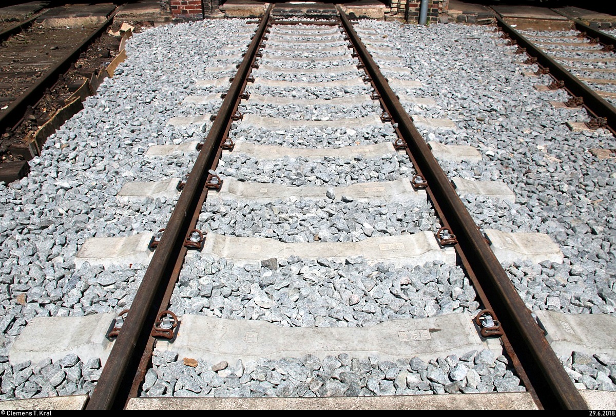 Anlässlich der Eröffnung der neuen Zugbildungsanlage (ZBA) in Halle (Saale) nahe der Berliner Brücke öffnete auch das DB Museum Halle (Saale) bei freiem Eintritt seine Pforten.
Auch auf historischem Gebiet müssen irgendwann einmal Baumaßnahmen erfolgen, sodass nun vor dem Ringlokschuppen der Gleisoberbau teilweise erneuert wurde.
[29.6.2018 | 12:42 Uhr]