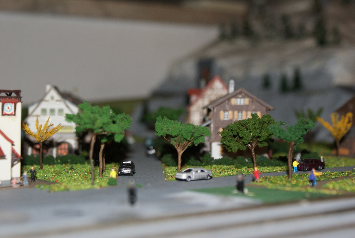 another image of my mini-club, main avenue with self-built Mediterranean pines