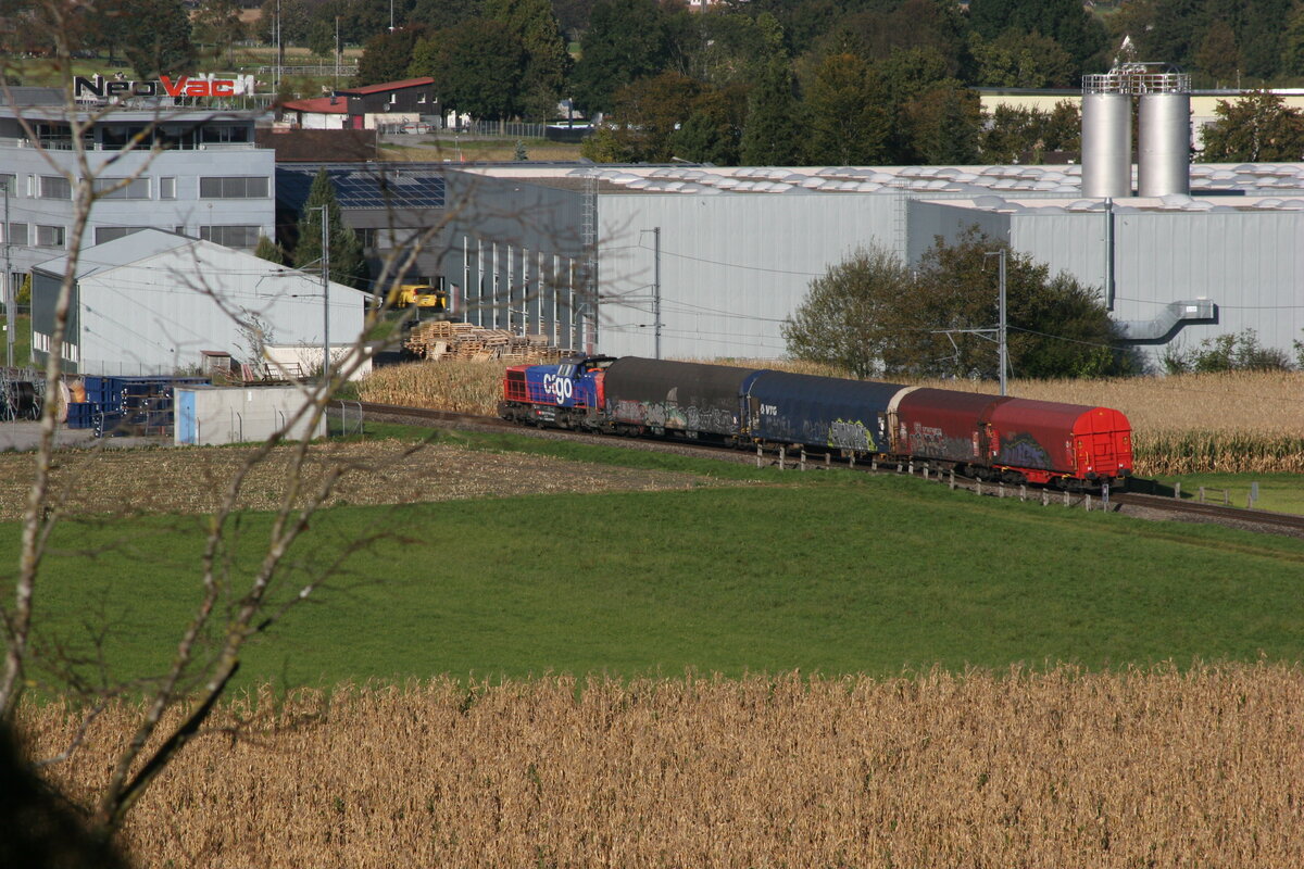 Anscheinend werden die Stückgutzüge von Buchs (SG) aus mit einer Am 843 zu den einzelnen Firmenareale im Rheintal gefahren. So zumindest interpretiere ich diesen kleinen Güterzug, gezogen von der Am 843 071, der mir in Oberriet vor die Linse geriet. Diese drei Waggons werden in wenigen Minuten den Bahnhof Oberriet erreichen.

Oberriet Blatten, 15.10.2021