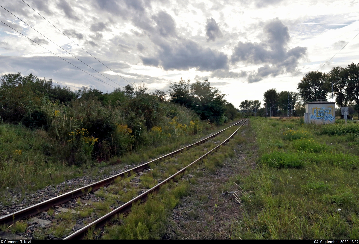 Anschlussgleis des Romonta-Werks in Amsdorf, Blickrichtung Bahnhof Röblingen am See, dem Ausgangspunkt der etwa drei Kilometer langen Strecke.
Aufgenommen im Gegenlicht.

🧰 Romonta GmbH
🕓 4.9.2020 | 18:32 Uhr