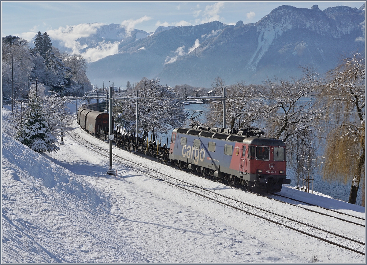 Anstelle einer der 189 Stammloks zog an diesem herrlichen Wintertag die SBB Re 620 087-7  Bischofszell  den Novellis Güterzug von Sierre nach Göttingen bis Basel. 

29. Januar 2019