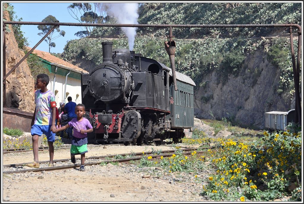 Arbaroba (06.12.2014)