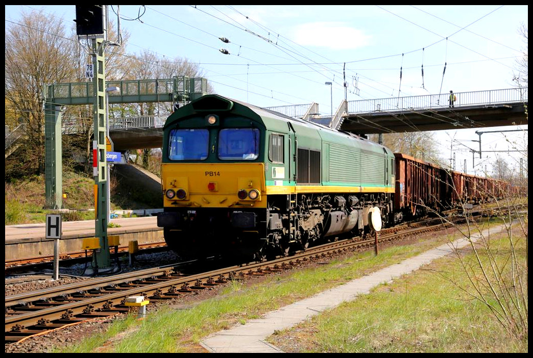 Ascendos PB 14 fährt hier am 16.04.2021 um 11.50 Uhr mit einem mit Schrott beladenen Zug vom Hafen Osnabrück aus in Hasbergen ein. Im Bahnhof Hasbergen muss die Lok umsetzen, um danach weiter zum Stahlwerk in Georgsmarienhütte zu fahren.