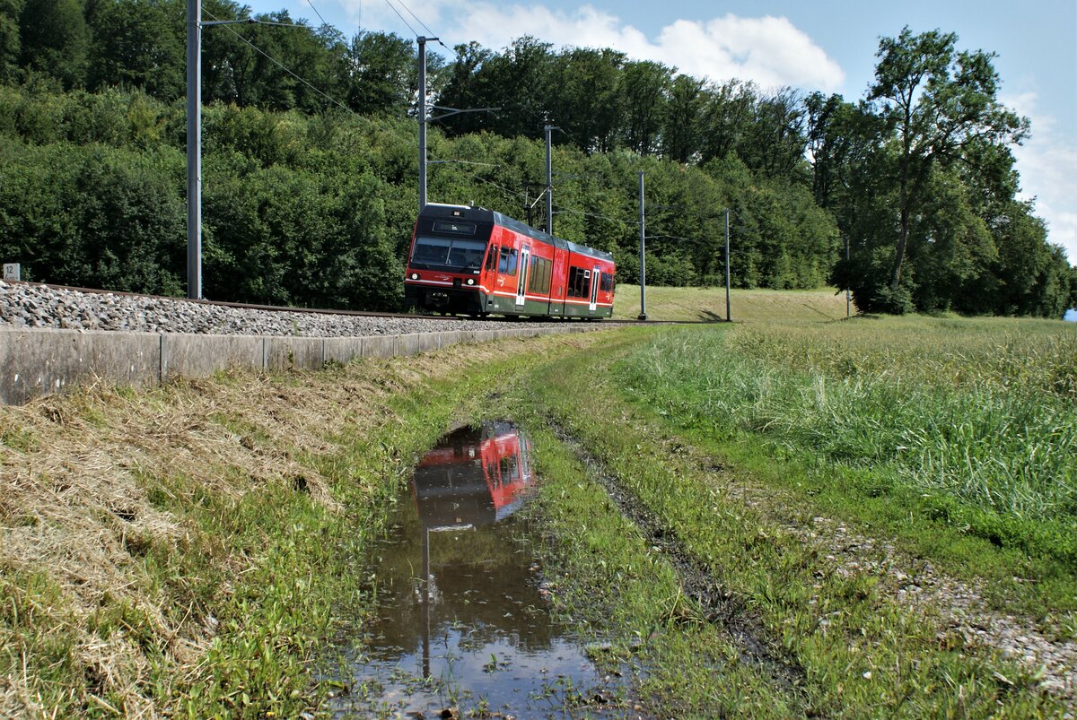 ASM BTI Aare Seeland mobil AG Biel-Täuffelen-Ins-Bahn: GTW 509, Zug 7093 Ins-Biel, Grosswald Lüscherzmoos, 7. Juli 2021. Im Normalbetrieb an Werktagen, Montag bis Freitag, wird eine Tagesleistung von einem alleinfahrenden GTW erbracht ( Kurzzug ), ansonsten verkehren in der Regel zwei GTW zusammen ( Langzug ).