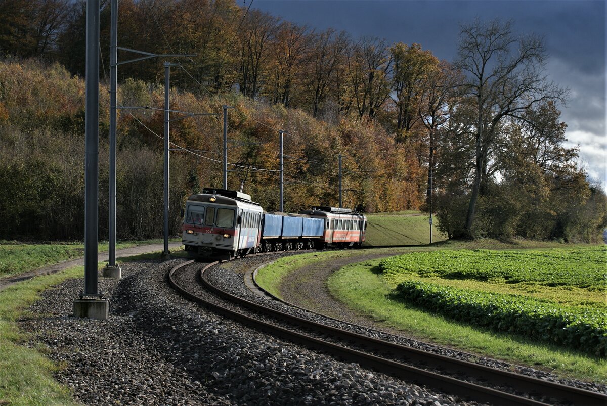 ASM BTI Aare Seeland mobil AG Biel-Täuffelen-Ins-Bahn: Be 4/4 304 + Fa 576 + Fa 571 + Fa 572 + Be 4/4 302, Zug 8281 Finsterhennen-Sutz, Grosswald Lüscherzmoos, 2. November 2021.