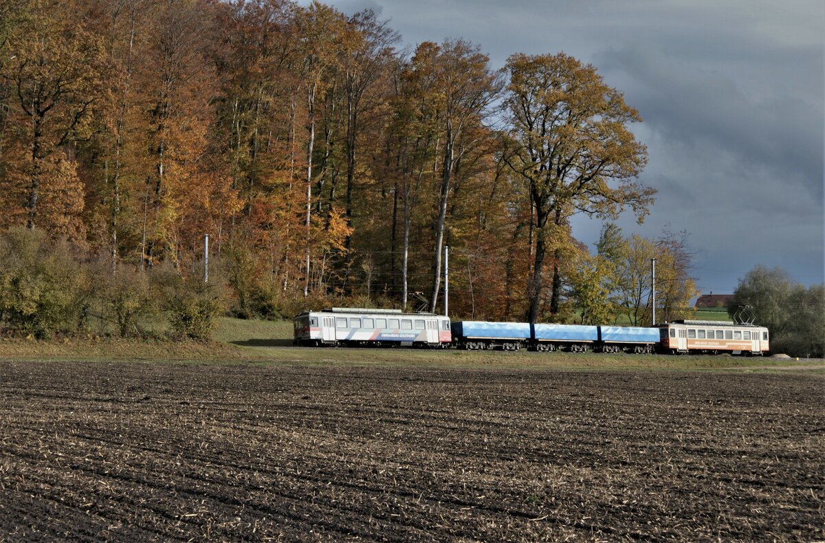 ASM BTI Aare Seeland mobil AG Biel-Täuffelen-Ins-Bahn: Be 4/4 304 + Fa 576 + Fa 571 + Fa 572 + Be 4/4 302, Zug 8281 Finsterhennen-Sutz, Grosswald Siselen, 1. November 2021.