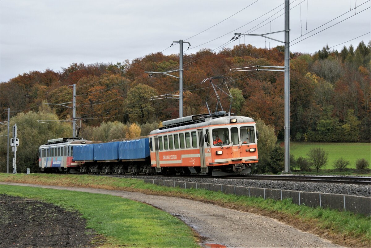ASM BTI Aare Seeland mobil AG Biel-Täuffelen-Ins-Bahn: Be 4/4 302 + Fa 572 + Fa 571 + Fa 576 + Be 4/4 304, Zug 8250 Sutz-Finsterhennen, Grosswald Siselen, 1. November 2021.