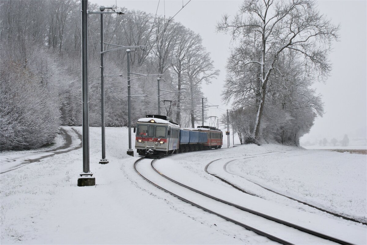 ASM BTI Aare Seeland mobil AG Biel-Täuffelen-Ins-Bahn: Be 4/4 304 + Fa 576 + Fa 571 + Fa 572 + Be 4/4 302, Zug 8245 Finsterhennen-Sutz, Grosswald Lüscherzmoos, 10. Februar 2021.