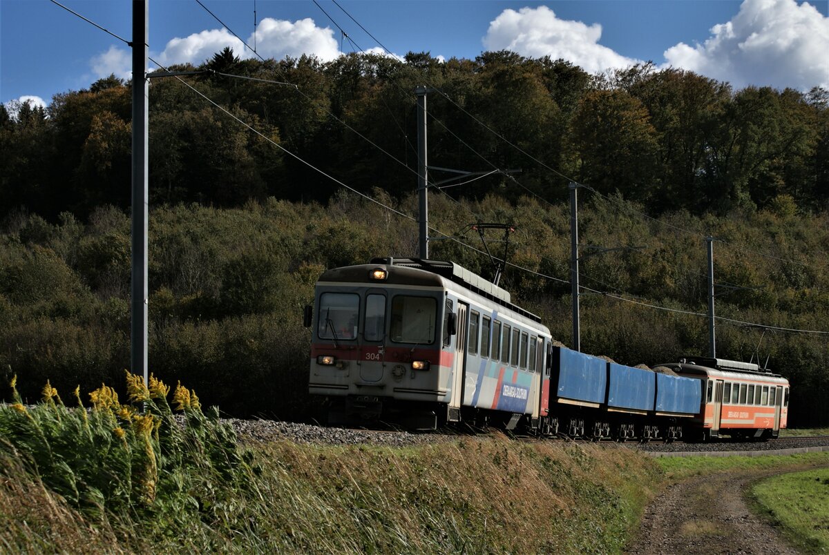 ASM BTI Aare Seeland mobil AG Biel-Täuffelen-Ins-Bahn: Be 4/4 304 + Fa 576 + Fa 571 + Fa 572 + Be 4/4 302, Zug 8281 Finsterhennen-Sutz, Grosswald Lüscherzmoos, 21. Oktober 2021.
