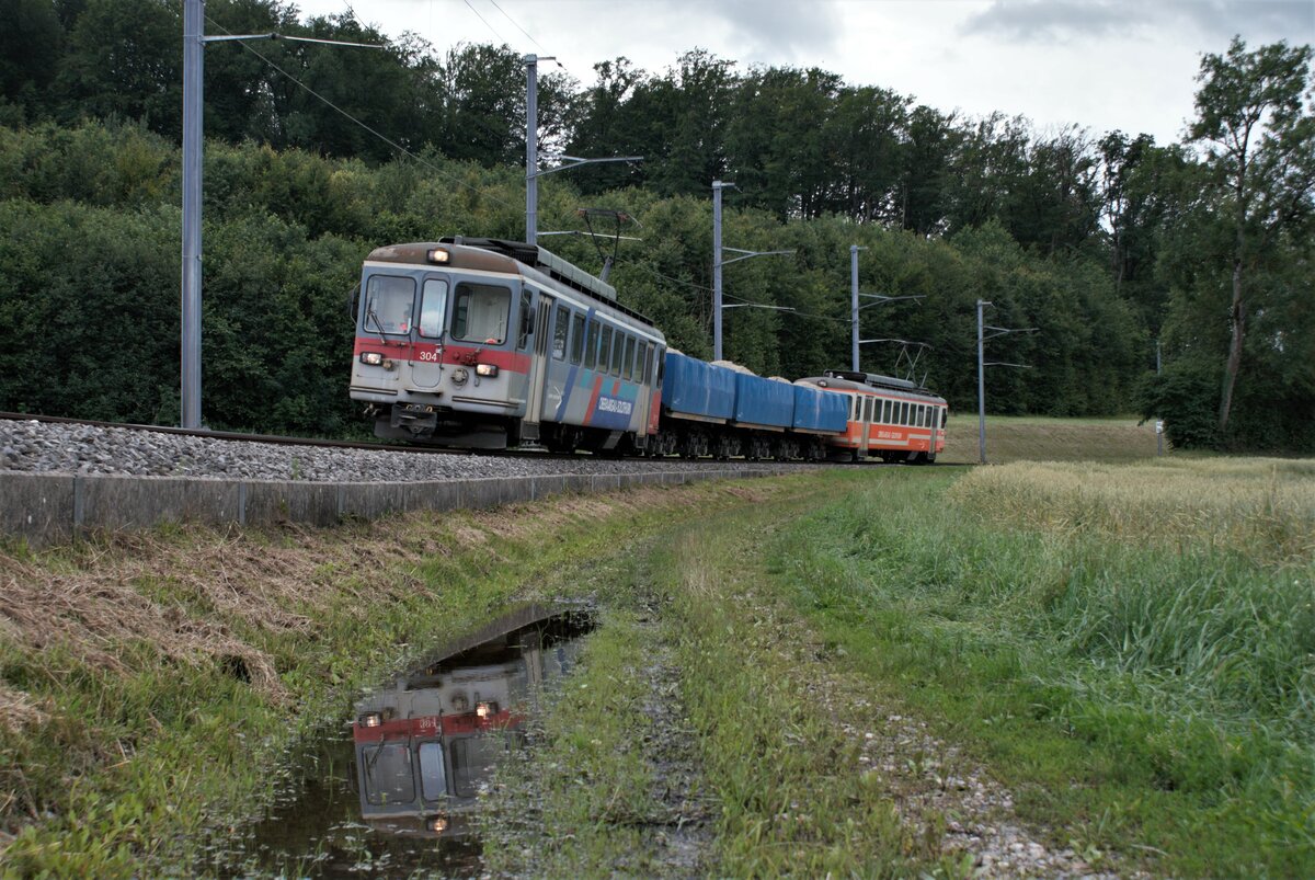 ASM BTI Aare Seeland mobil AG Biel-Täuffelen-Ins-Bahn: Be 4/4 304 + Fa 576 + Fa 571 + Fa 572 + Be 4/4 302, Zug 8281 Finsterhennen-Sutz, Grosswald Lüscherzmoos, 8. Juli 2021.