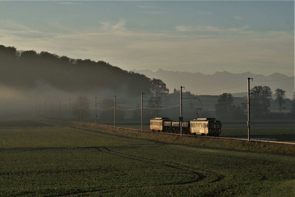 ASM BTI Aare Seeland mobil AG Biel-Täuffelen-Ins-Bahn: Be 4/4 304 + Fa 576 + Fa 571 + Fa 572 + Be 4/4 302, Zug 8233 Finsterhennen-Sutz, Lüscherzmoos, 20. Oktober 2021. Morgenstimmung: Noch halten sich vor dem Grosswald dünne Nebelschwaden. In der Ferne (über dem Zug) ist der Kirchturm von Siselen zu erkennen.