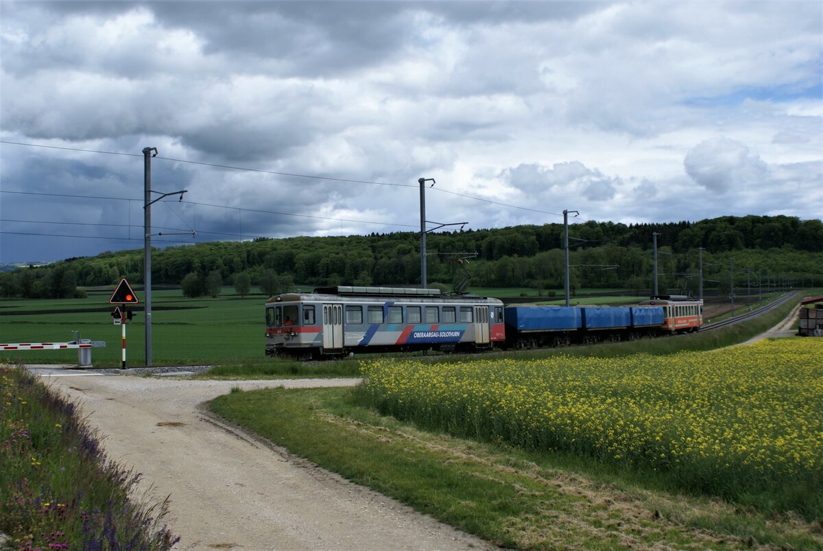 ASM BTI Aare Seeland mobil AG Biel-Täuffelen-Ins-Bahn: Be 4/4 304 + Fa 576 + Fa 571 + Fa 572 + Be 4/4 302, Zug 8281 Finsterhennen-Sutz, Haltstelle Lüscherz, 19. Mai 2021. 
