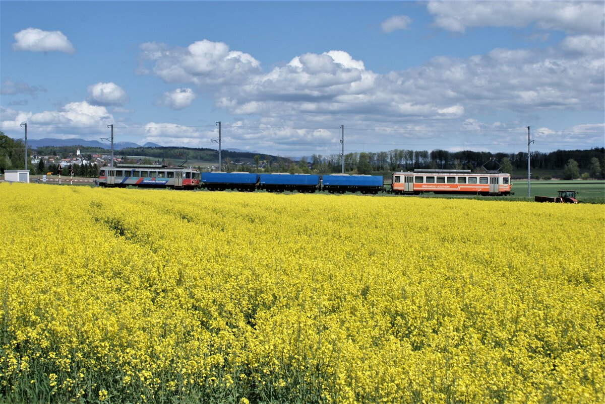 ASM BTI Aare Seeland mobil AG Biel-Täuffelen-Ins-Bahn: Be 4/4 304 + Fa 576 + Fa 571 + Fa 572 + Be 4/4 302, Zug 8281 Finsterhennen-Sutz, Lüscherzmoos, 5. Mai 2021. Nach dem Bahnübergang folgt gleich die Haltestelle Lüscherz. Kirche und Häuser im Hintergrund gehören zu Täuffelen.