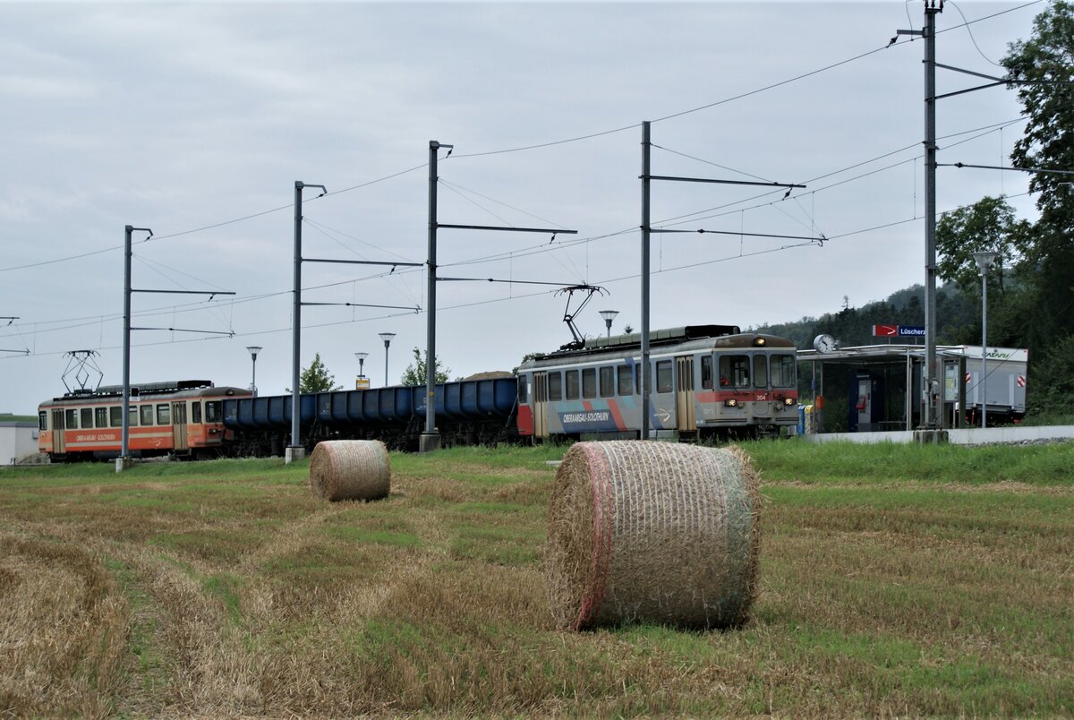ASM BTI Aare Seeland mobil AG Biel-Täuffelen-Ins-Bahn: Be 4/4 304 + Fa 576 + Fa 571 + Fa 572 + Be 4/4 302, Zug 8245 Finsterhennen-Sutz, 18. August 2021.