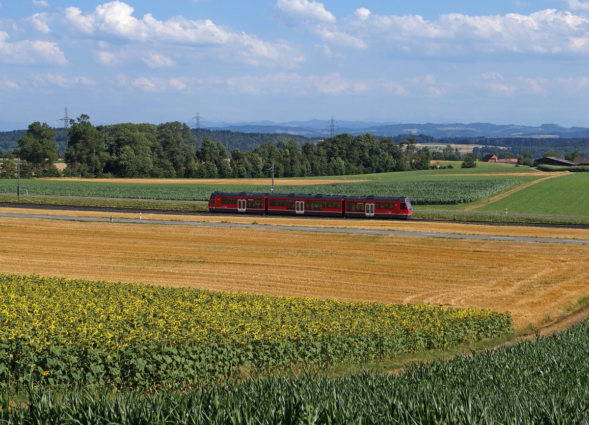 ASm: Regionalzug Oensingen-Solothurn mit Be 4/8  STAR  zwischen Attiswil und Wiedlisbach unterwegs am 11. Juli 2015. Die Sonnenblumen kehrten dem Bahnfotografen den Rücken zu und warfen ihren Blick auf das BIPPERLISI.
Foto: Walter Ruetsch