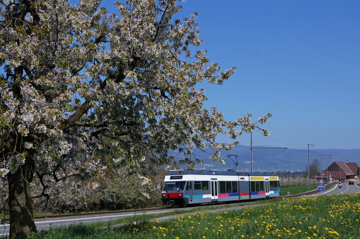 ASm/BTI: Mit der BTI zur Kirschblüte EINST UND JETZT. Regionalzug mit dem Be 2/6 5041 (1997) bei Mörigen am 13. April 2014.
Foto: Walter Ruetsch 
