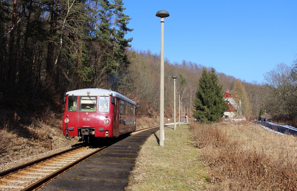 Auch am 04.03.18 ging es nochmal zum Ferkel. 772 141 ist hier zu sehen als RB 29883 in Schwarzburg.