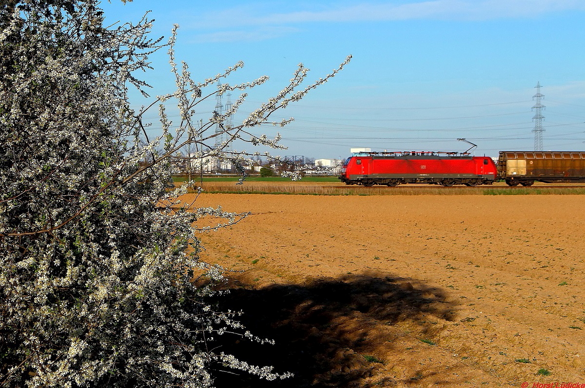 Auch am Niederrhein ist der Frühling eingezogen: Eine unbekannte DB 189 fährt am 20.03.2014 bei Nievenheim Richtung Neuss