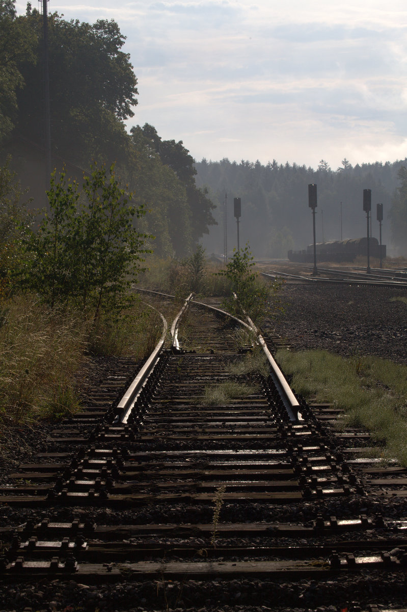 Auch bei der CD wird rückgebaut, allerdings nicht so  gründlich  wie bei der DB.
Hier in Kamenne Zehrovice, im Frühdunst. 26.08.2017  08:34 Uhr.