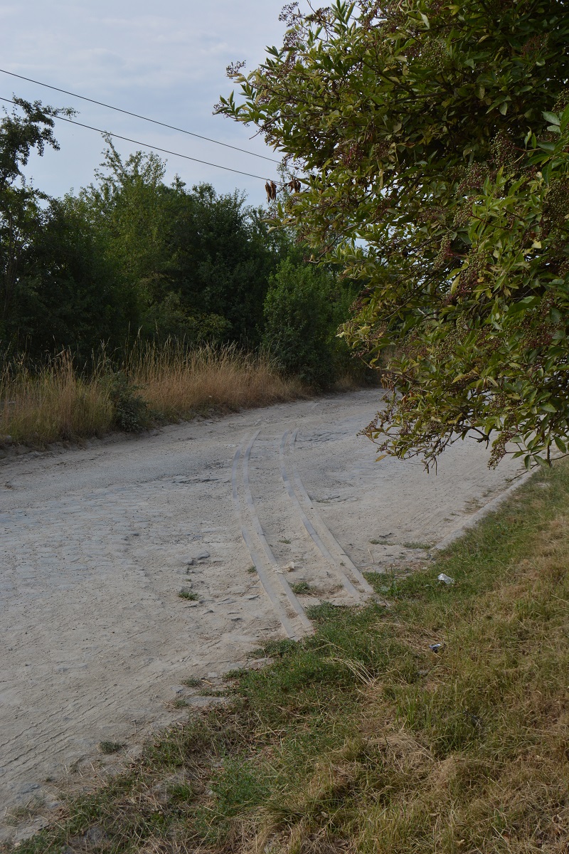 Auch bei der Sodabahn in Staßfurt entdeckte ich ein Stück altes Gleis.
Ob es vielleicht mal von einer alten Wendeschleife war?
Vielleicht weiß jemand mehr.

Staßfurt 21.07.2016