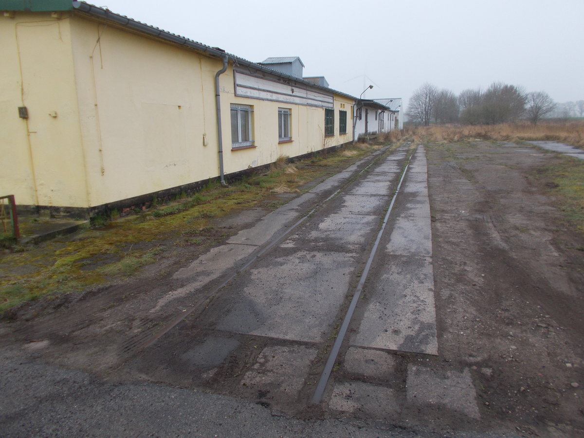 Auch dieses Gleisrest von einem ehemalige Anschlußgleis liegt in Semlow noch(ehemalige Strecke Velgast-Tribsees).Aufnahme vom 30.März 2017.
