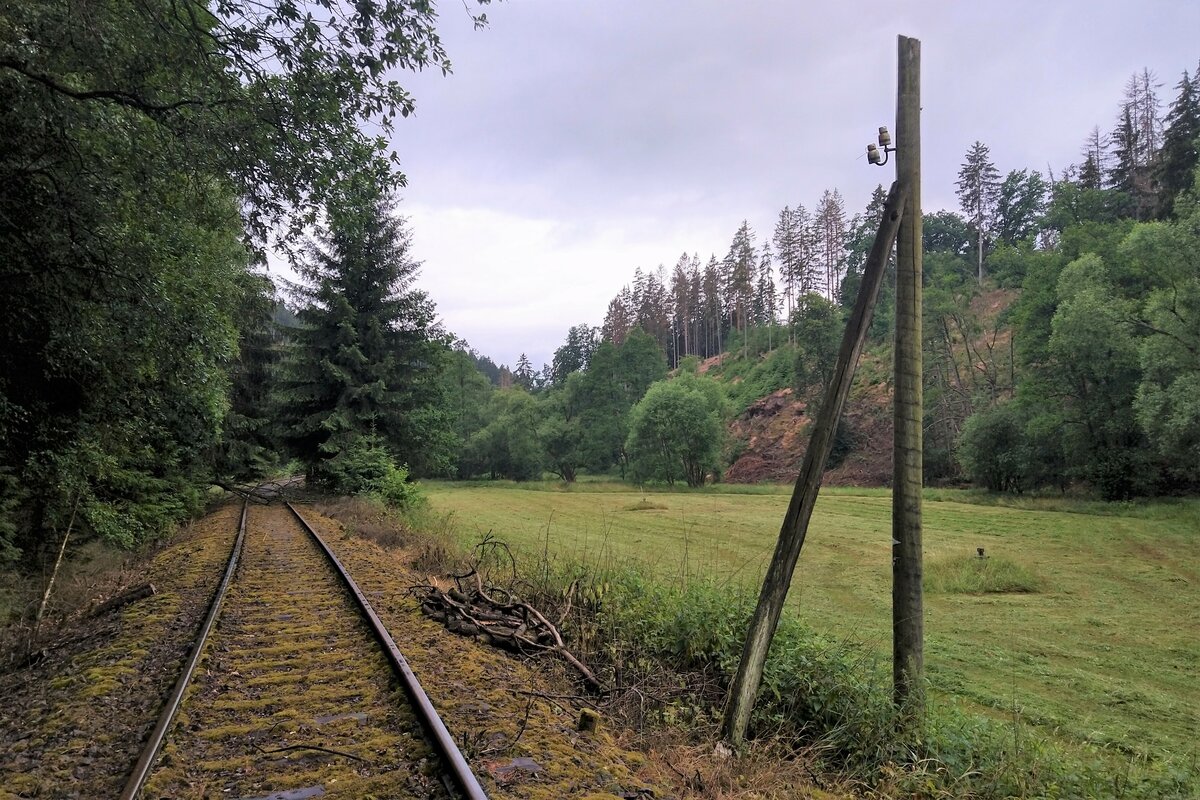 Auch dieser ehemalige Telegrafenmast hat zwischen Knau und Ziegenrück überlebt. Der über die Gleise gestürzte Baum im Hintergrund zeugt aber davon, das hier kein Zug mehr kommen wird ...