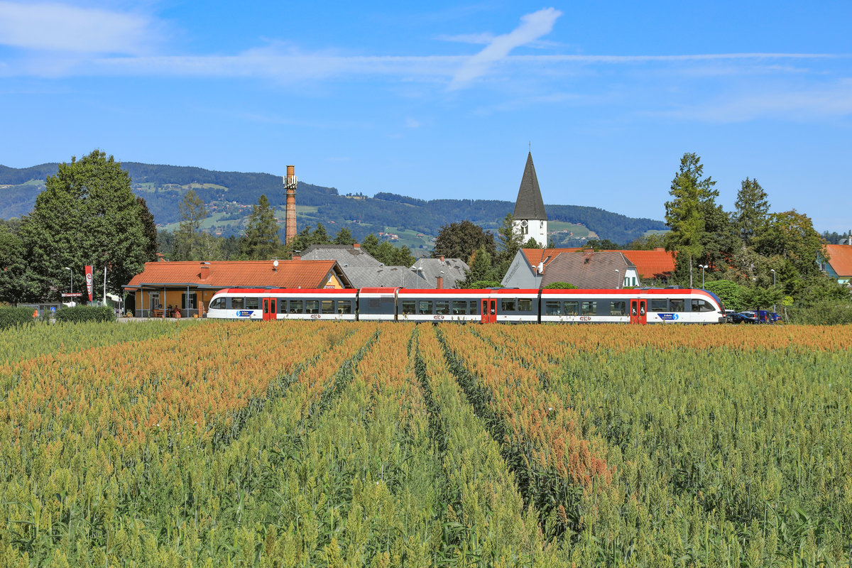 Auch in Frauental Bad Gams beginnt sich die Hirse zu verfärben. 
27.August 2018