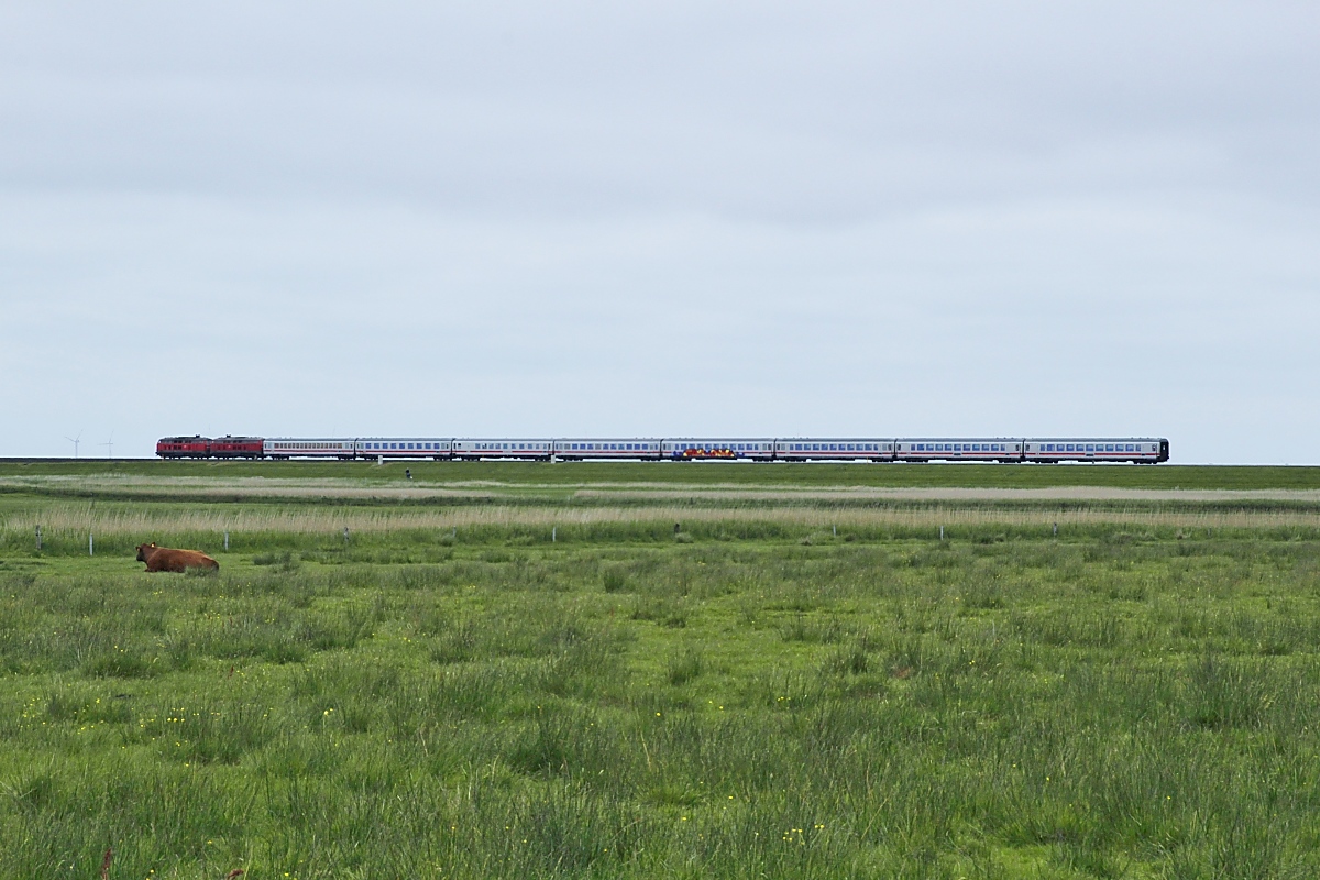 Auch die früher selbstverständliche Bespannung der IC mit 218-Doppeln zwischen Itzehoe und Westerland bzw.umgekehrt hat drastisch abgenommen, am 04.06.2022 wurde der IC 2215 (Westerland - Frankfurt) aber von zwei unbekannten 218 über den Hindenburgdamm befördert