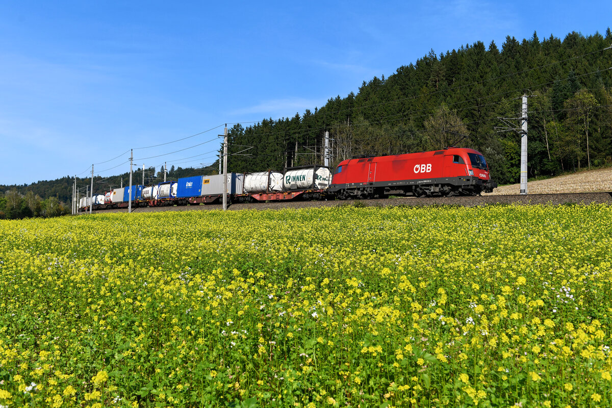 Auch im Herbst kann man noch blühende Felder entdecken. Am 02. Oktober 2021 fiel mir in der Nähe von Wernstein ein gelbes Blütenmeer auf, bei dem es sich übrigens entgegen der landläufigen Meinung nicht um Raps, sondern um Senf handelte. Der rote Taurus 1016.032 mit einem ostwärts fahrenden KLV-Zug bot den entsprechenden Rahmen für eine Aufnahme. 