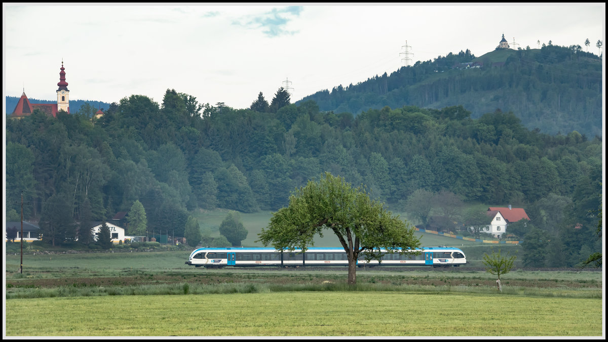 Auch eine Komposition für einen sonnigen Mprgen ,... 
Aber auch hier stellen die  Sterzbam  in den nächsten Wochen sich ins Bild. 
10.05.2020 bei Hollenegg 