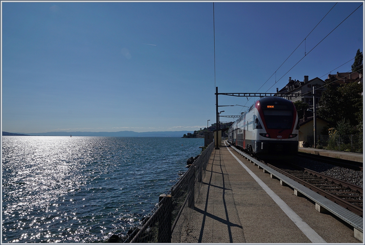 Auch der längste Sommer endet eines Tages und damit auch der Sommerfahrplan...
Stimmungsbild des RE 30126 Fribourg - Vevey Genève bei seiner Durchfahrt in St-Saphorin am 26. August 2018