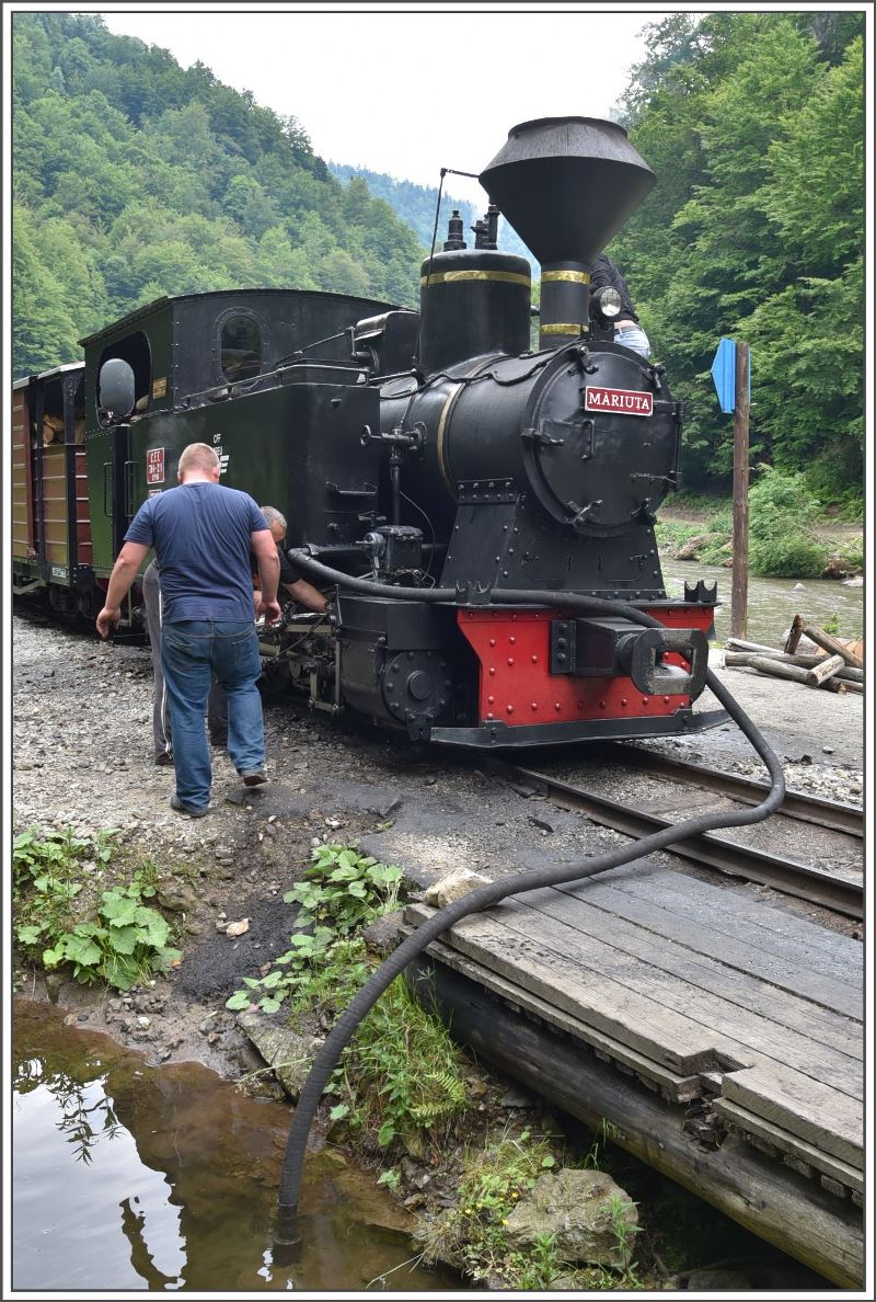 Auch die Mariuta hat Durst und braucht Wasser. (13.06.2017)