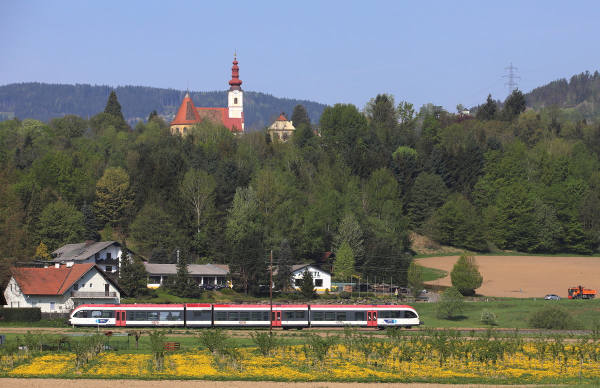 Auch der  Realsolot  blüht in voller bracht ,.... 
Schloss Hollennegg am 23.04.2018