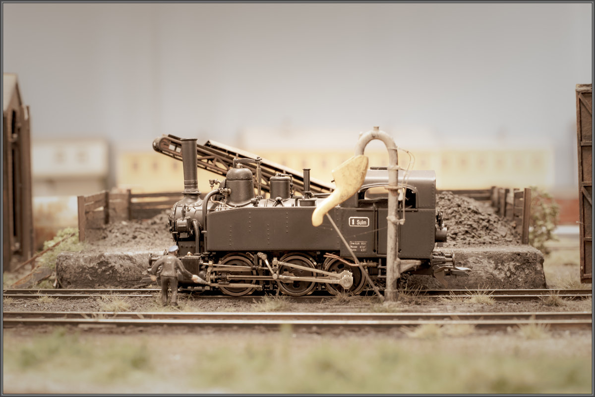 Auch so manche Spinne bekrabbelt die Gleisanlagen der Sulmtalbahn Modulanlage. 
2.01.2020
