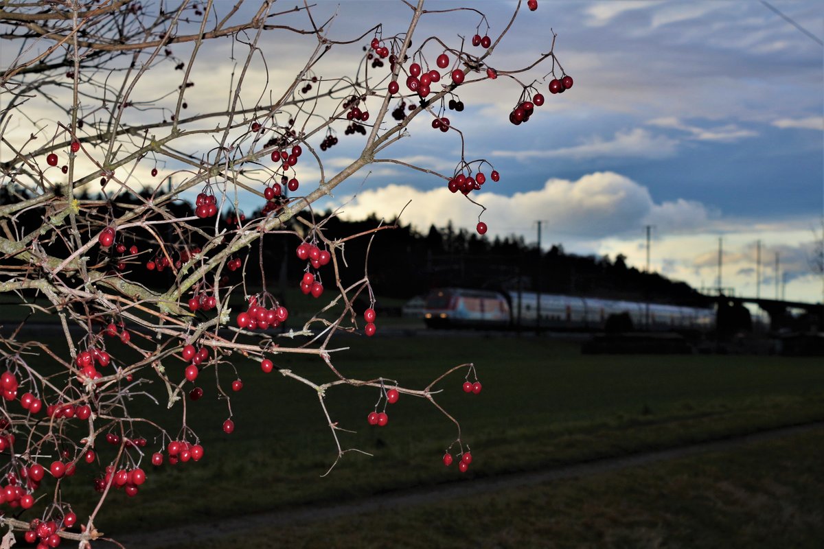 Auch wenn einmal plötzlich der Zug im Hintergrund steht... SBB Re 460 065 mit Werbung für Pro Montagna unterwegs am mit dem IC 1 von Genève Aéroport - St. Gallen bei Abendstimmung bei Bassersdorf.