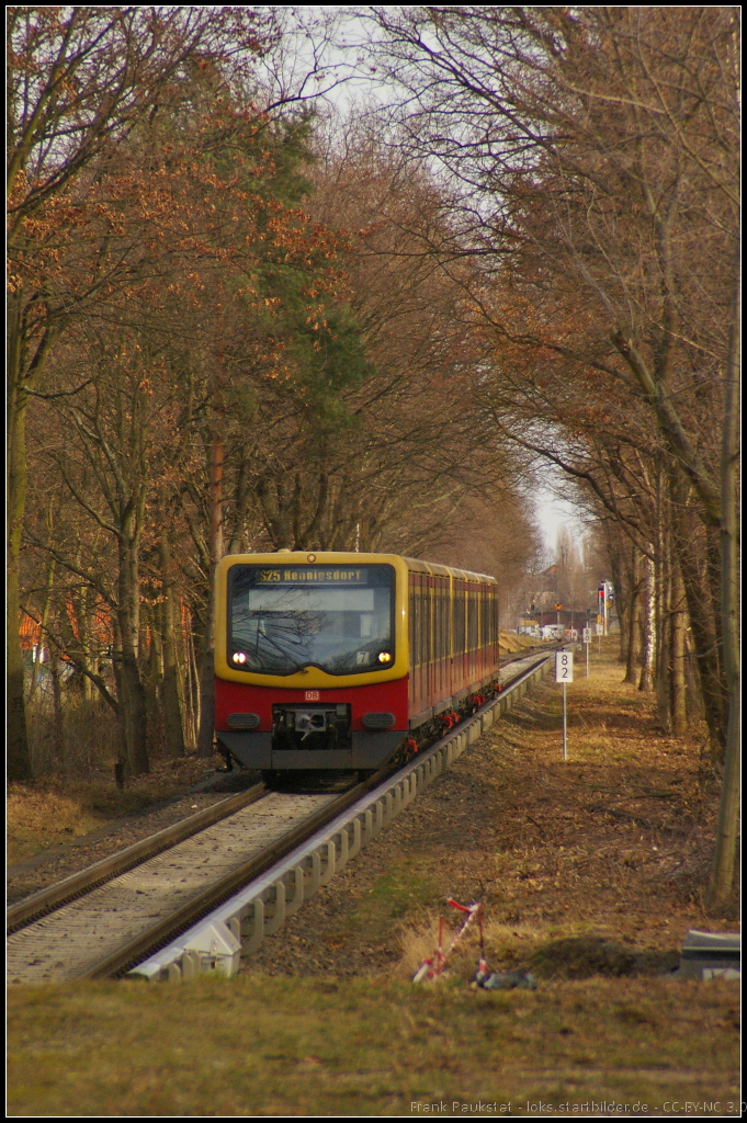 Auch der Winter kann bei etwas Sonne bunt sein: DB 481 453 kommt am 17.02.2014 als S25 Hennigsdorf in den Bahnhof Berlin Eichborndamm eingefahren. Hier soll es einmal wieder zweigleisigen Verkehr im 10-Minuten-Takt bis Tegel geben. Derzeit wird erst mal der Haltepunkt barrierefrei umgebaut und erhlt einen Aufzug.