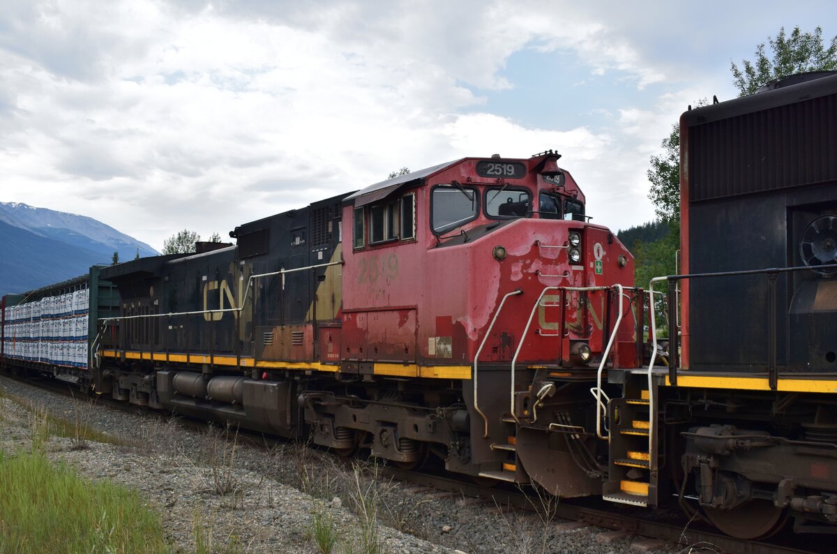 Auch die zweite Lok 2519 wirkt sichtlich mitgenommen. Ein Augenmerk ist die hier außen angebrachte Glocke zum läuten.

Jasper 19.08.2022