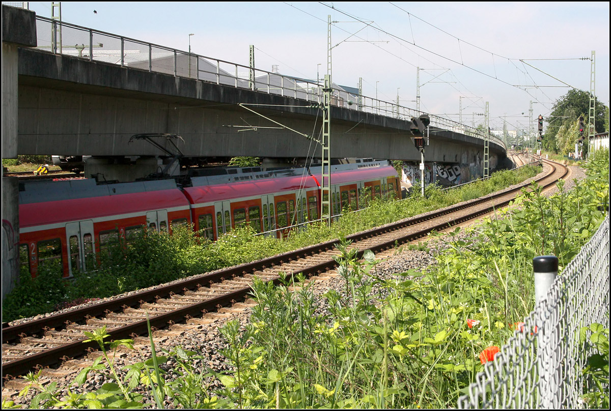 Auf dem abgesenkten Gleis unterwegs -

Das westliche Ende des Verzweigungsbauwerkes für die Rems- und Murrbahn.

Eine Bahn auf der S2 in Richtung Stuttgart hat das Gleis der Murrbahn in Richtung Backnang unterfahren und wird gleich den Bahnhof Fellbach erreichen. Eine Störung im Betriebsablauf hat dafür gesorgt, dass dieser Bahn schon hier der Zug in Gegenrichtung entgegenkommt. Von diesem ist auf dem Bild allerdings nur ganz wenig zu erkennen.

07.06.2016 (M)