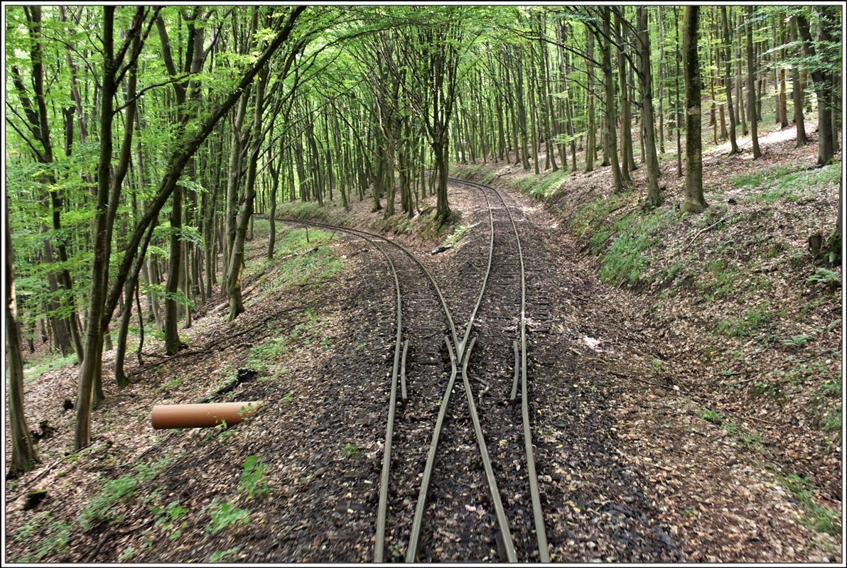 Auf dem Abstieg von Nagyrtás nach Nagybörsöny befährt die 760mm Schmalspurbahn mitten im Wald zweimal eine Spitzkehre. (10.06.2018) 