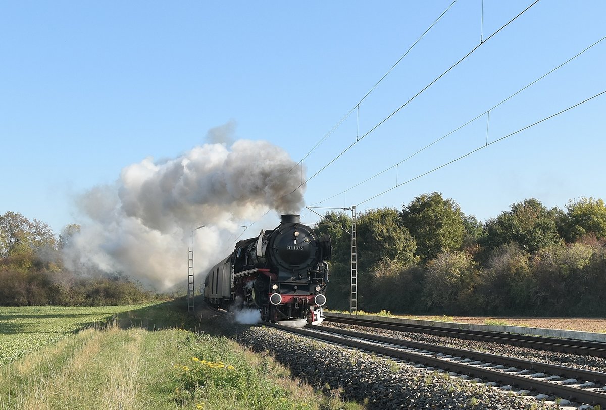 Auf dem Heimweg in die Niederlande ist hier die 01 1075 hinter der Noithausener Kurve zu sehen, da es hier doch recht hügelig ist muss der Heizer schon ordentlich schippen um genug Dampf zu haben. Sonntag 21.10.2018