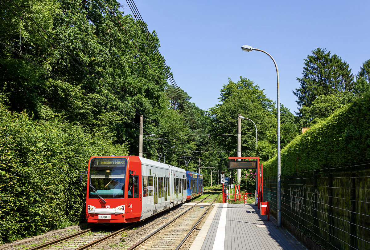 Auf dem Stadtgebiet von Bergisch Gladbach führt die Kölner Stadtbahnlinie 1 inmitten von Wohn- oder Waldgebieten. Hier konnte ich am 23. Juni 2019 diese Doppeltraktion aus den Wagen 4034 und 4104 an der Haltestelle Frankenforst auf dem Weg in Richtung Köln fotografisch festhalten.