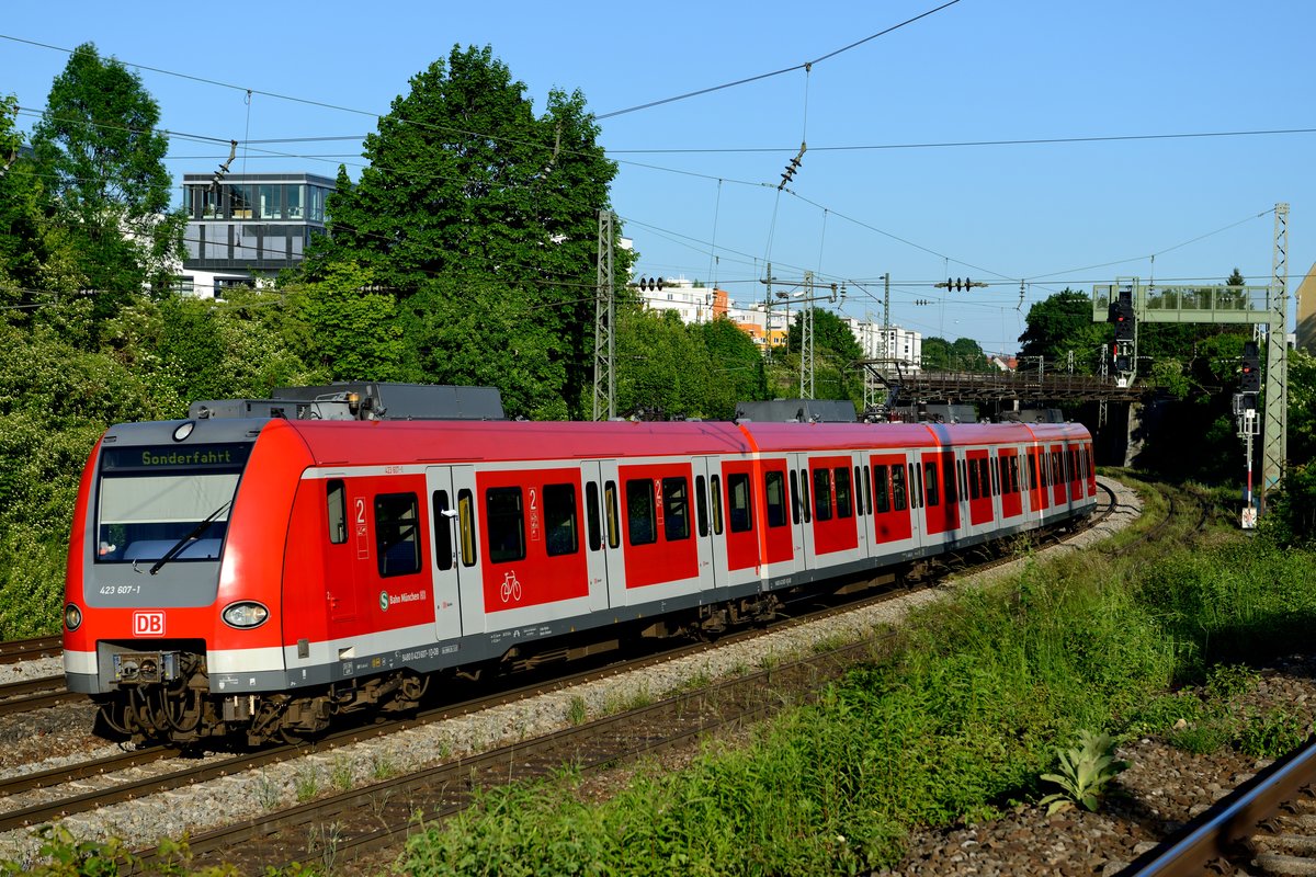 Auf dem Südring ist der ET 423 planmäßig nicht im Einsatz -zumindest nicht im Fahrgasteinsatz. Überführungsfahrten vom Betriebswerk München Steinhausen nach Pasing gibt es jedoch häufiger. Das schöne Abendlicht des 13. Juni 2013 war mir diese Aufnahme des 423 607 der S-Bahn München wert.