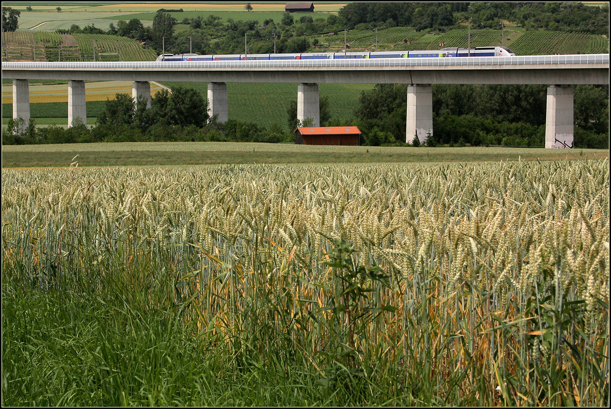 Auf dem Viadukt -

Ein TGV in Richtung Stuttgart auf dem Enztalviadukt bei Vaihingen/Enz. 

23.06.2011 (M)