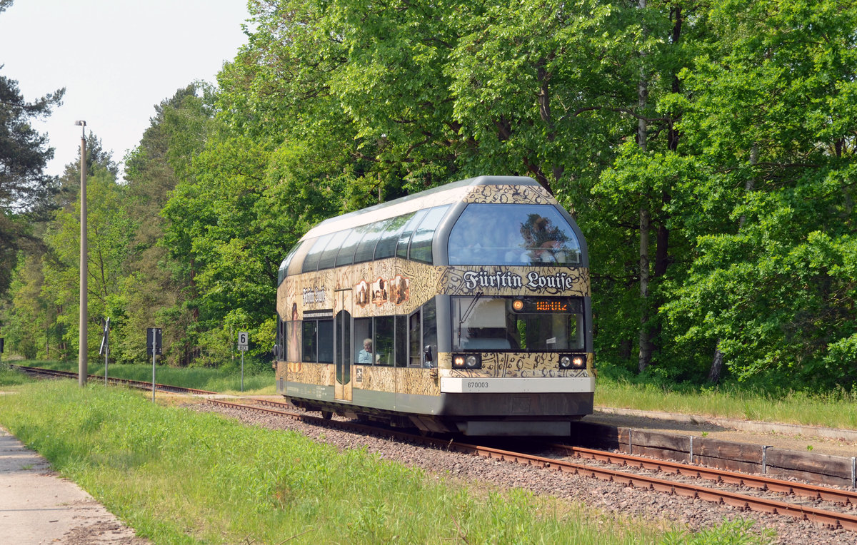 Auf dem Weg nach Wörlitz erreicht die Fürstin Luise am 12.05.18 den Haltepunkt Biosphärenreservat.