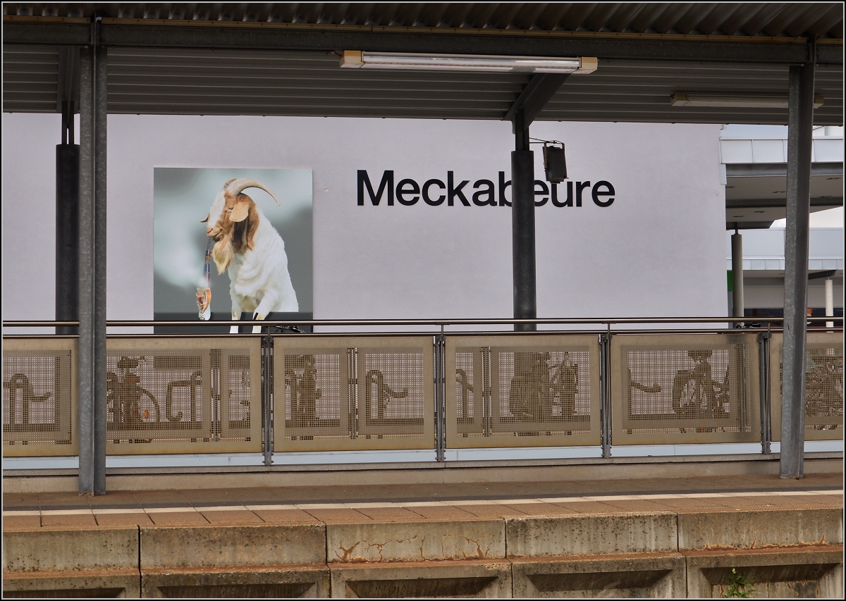 Auf dr schwäbische Eisebahne - oder - 10 Jahre Bodo. 

Der Geißbock ist allgegenwärtig und wohl etwas schlauer als in der Anfangszeit der schwäbischen Eisenbahn, heute zündt er selbst das Pfeifle an. Mai 2014. 