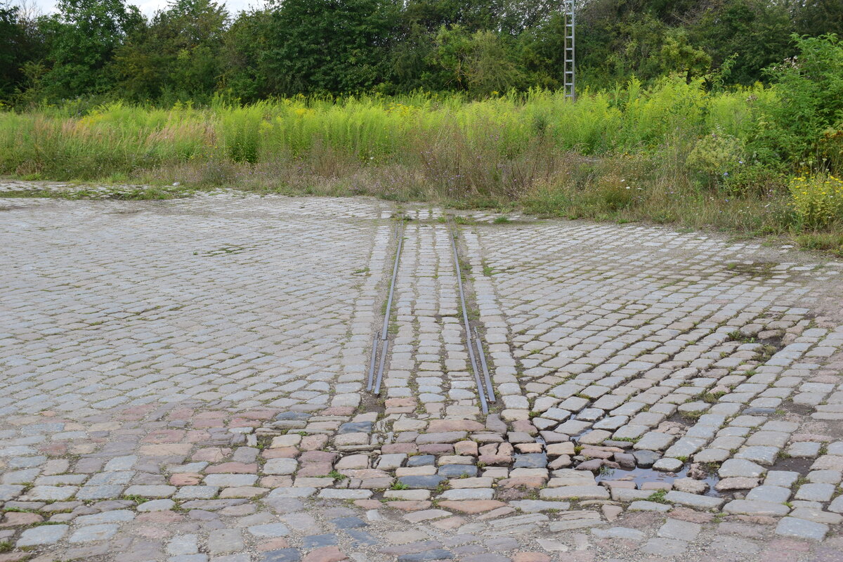 Auf der ehemaligen Ladestraße konnte ich dieses Schmalspurgleis entdecken. Vermutlich von einer ehemaligen Feldbahn. Leider konnte ich nichts genaueres herausfinden.

Teuchern 11.08.2021