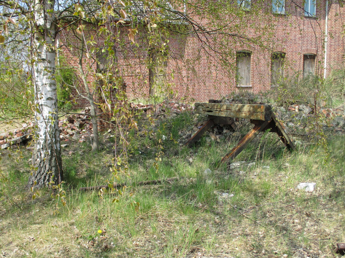 Auf der ehemaligen Ladestraße,in Gnoien,steht noch dieser Prellbock,an einem Birkenbaum.Aufnahme vom 27.April 2020.