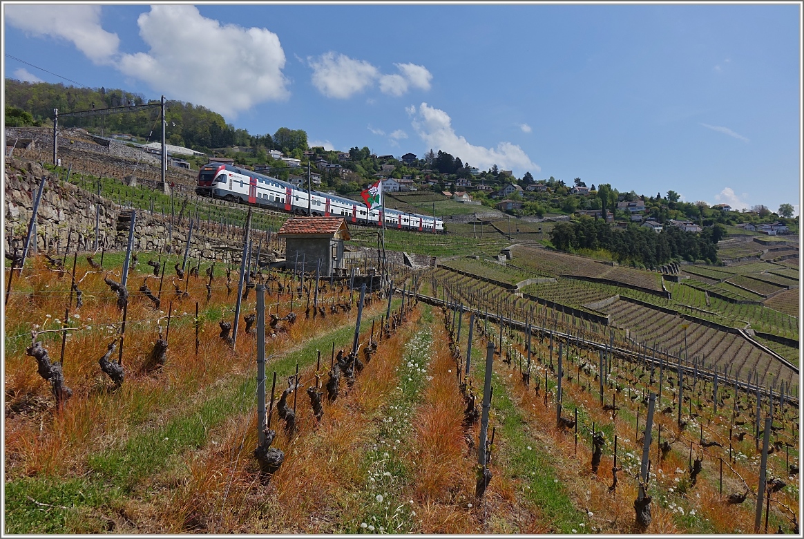 Auf der Fahrt von Romont nach Genf fährt der Regioexpress 2624 durch die Rebberge des Lavaux bei Grandvaux.
(23.04.2014) 