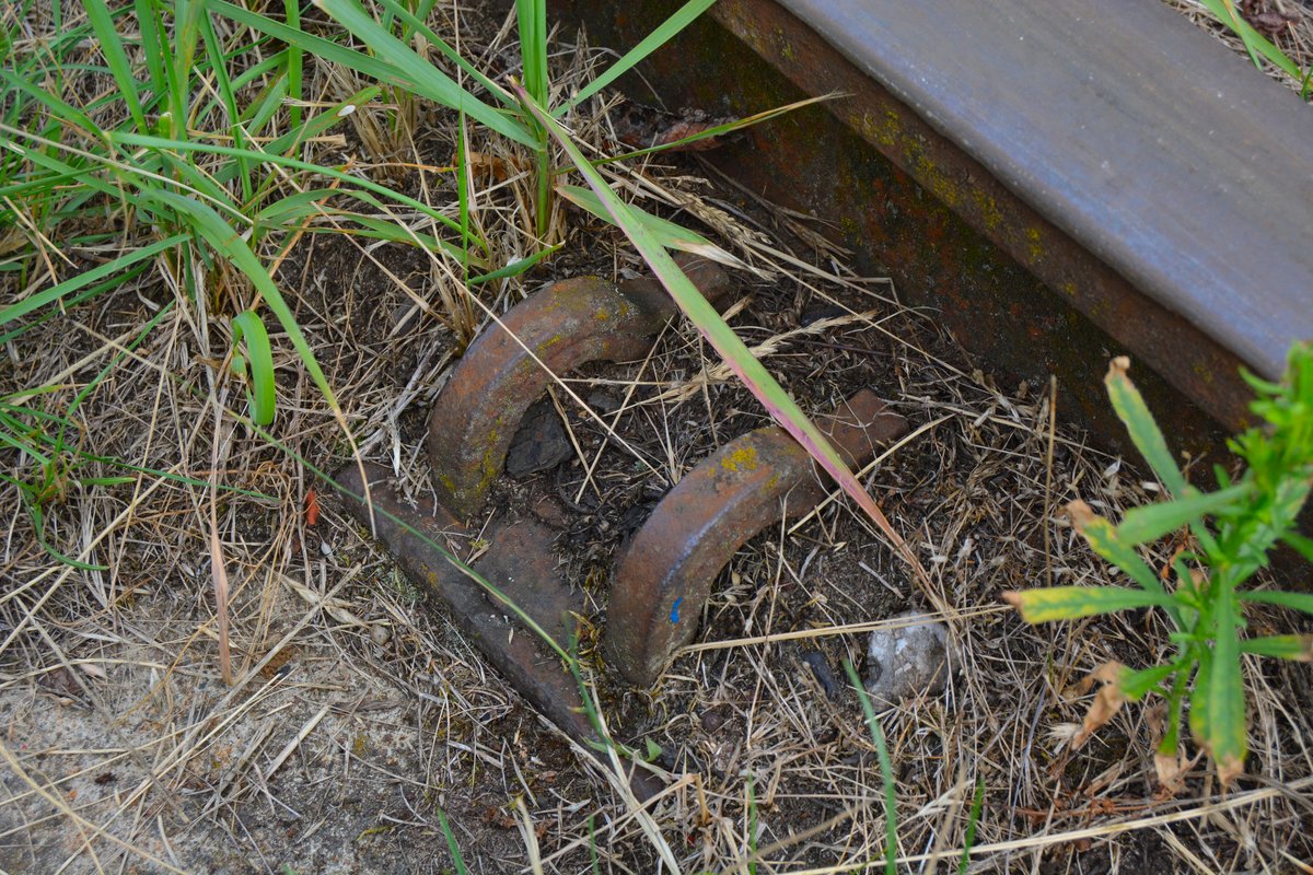 Auf den Gleisen der Draisinenbahn in Mittenwalde Ost konnte ich diesen Reichsbahn Oberbau entdecken.
Hierbei handelt es sich um den Oberbau Fng (von Federnagel gerade) für S 49. Mit Federnagel Fng 2, Zwischenlage Zwg 12, Unterlagsplatte  Up 1500, Betonschwelle Bs 55. Sie wurde in der DDR benutzt. Die Federnägel wurden geliefert von ERS (Elastic Rail Spike) welche Firma sich später nach Pandrol umgewandelt hat.

Mittenwalde Ost 20.07.2016